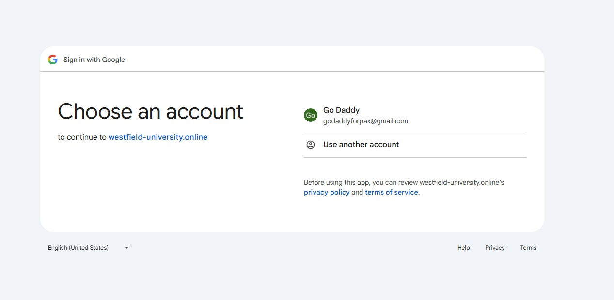 Google Account Selection